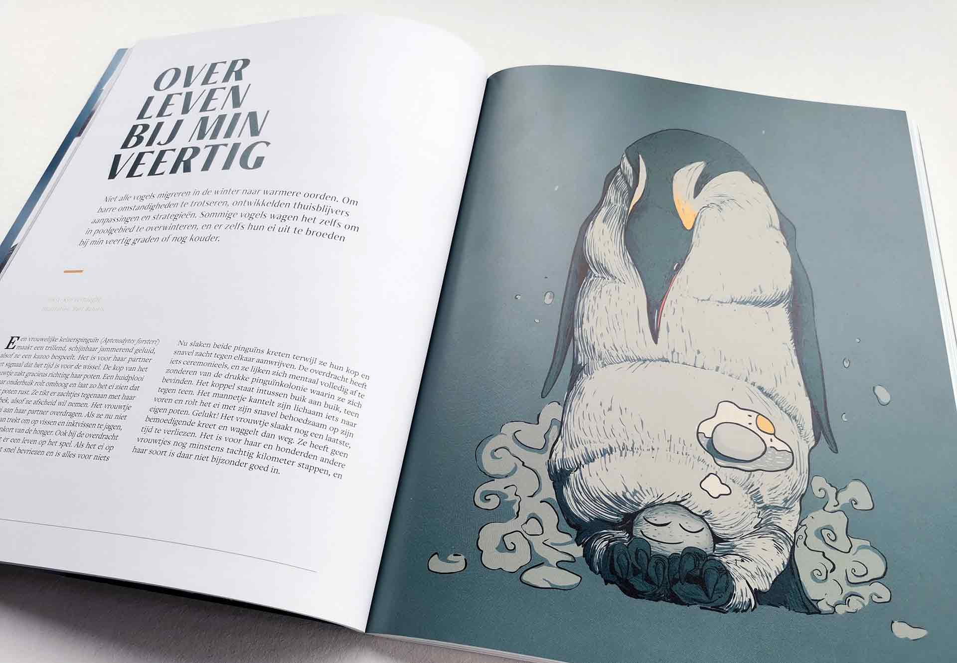 Bart Behiels - Gent - vogelmagazine Fwiet editie 8 Noord